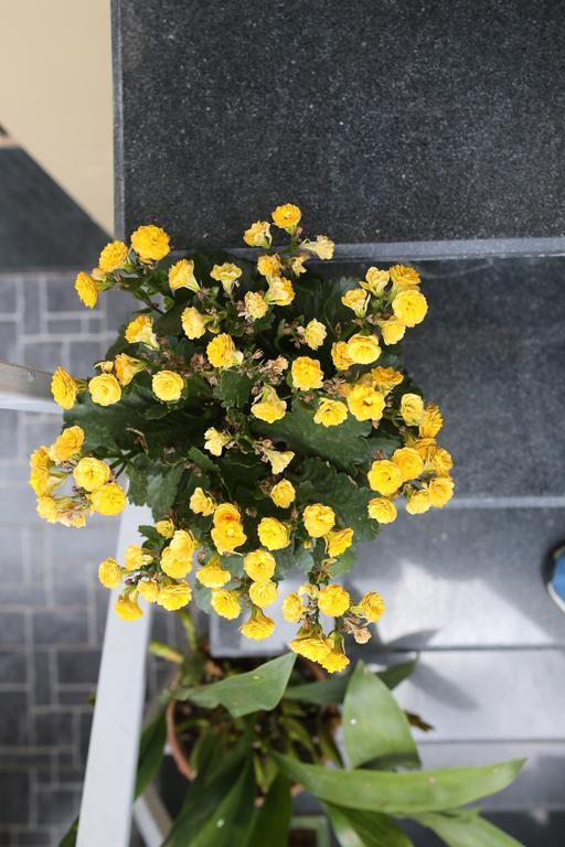 Tina Family Hotel Đà Lạt Ngoại thất bức ảnh